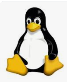 【超初心者向け】Linuxとは？普段使わない人向けにざっくり解説します